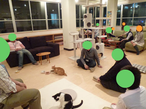 猫式ブログ