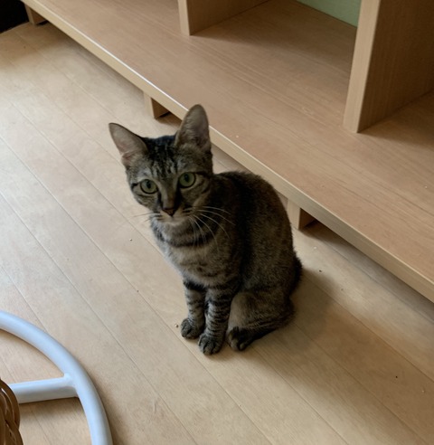 78A731E0-A538-4477-99AB-BD06BF658C91