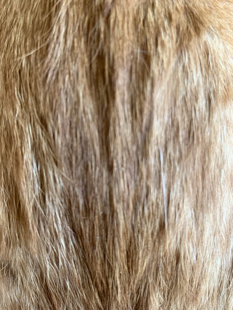 AF67445E-9195-4DC5-BFD0-B4E5315FA2B7