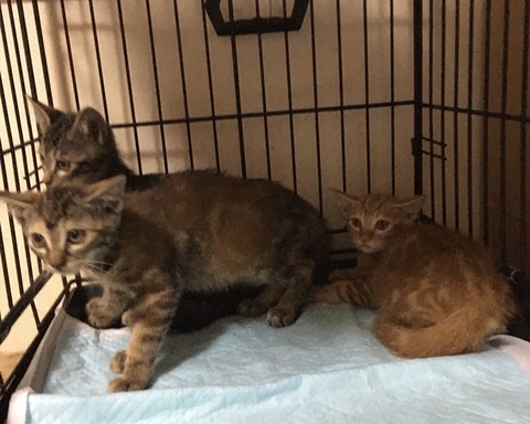 C96C7E2E-9B96-4231-B1FC-A37EAAA53D28