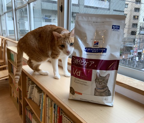 55C8473B-720C-4FD1-9616-DA0D5752DEC2