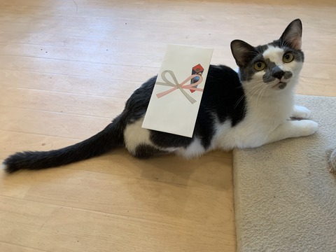 1844544C-1912-425D-82A6-765AFAB11B2F