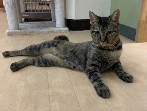 2DDBD6EC-C939-4B0D-9F6B-8DFA2FA2AA48