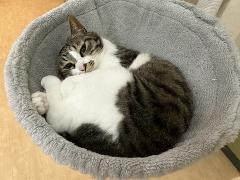 58749126-EFFA-4023-8823-3BEE9583F9B5