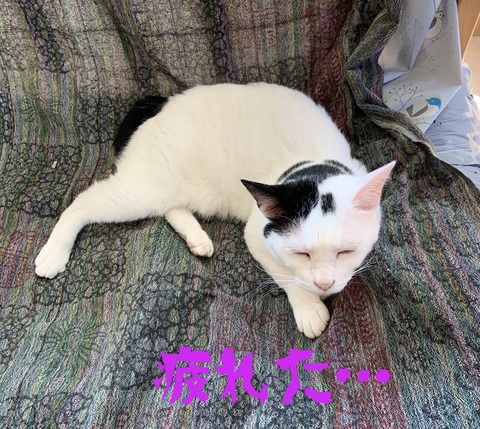 DEF33507-190B-43CF-8B30-8A39F21C26A6