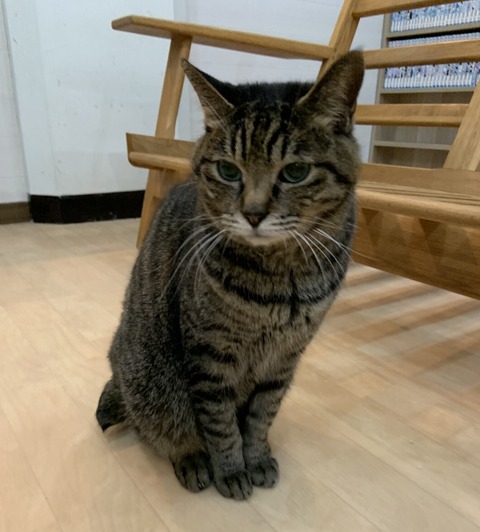 5B64807C-0169-4050-8B39-182A628B70A9