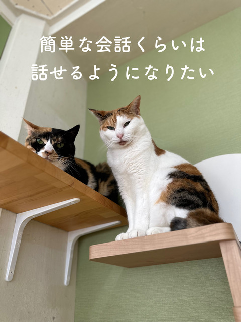 609EC6BF-9432-41A5-A8D1-FDF97DCB5C83