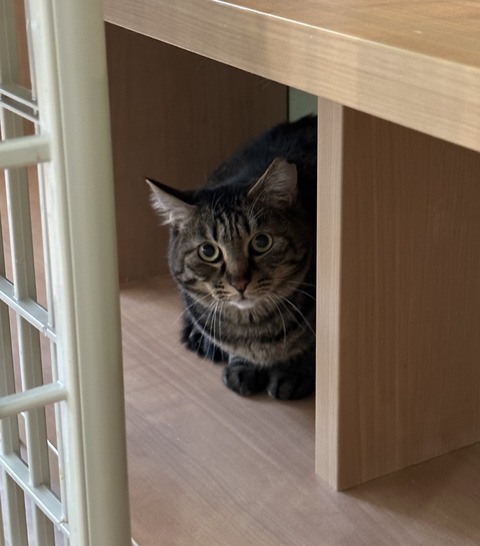 CF50B675-8CF2-48C1-8B28-B4829BFB7B48