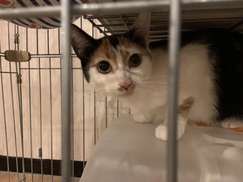 887869E8-743E-4452-8EC4-359FB77D26EB