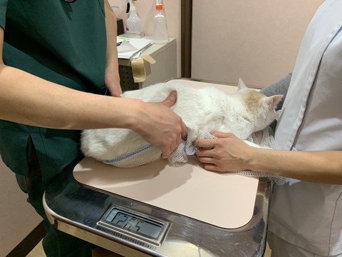 CB1860FD-5B2B-48AC-91BF-E73850359322