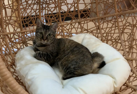 E149199B-D55C-4523-9644-22EAC703E512