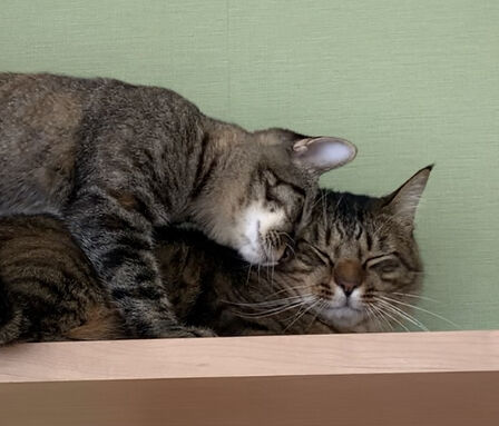 A54B2A46-965B-495A-AC83-61C37E8857A6