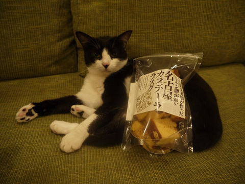 猫式ブログ～里親募集型猫カフェ