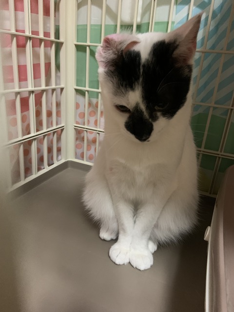 792C0025-83DB-4CE0-B8C1-631487F66C6C