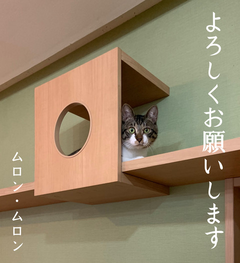 62B0D147-9C26-48E4-82B7-D2B144949883