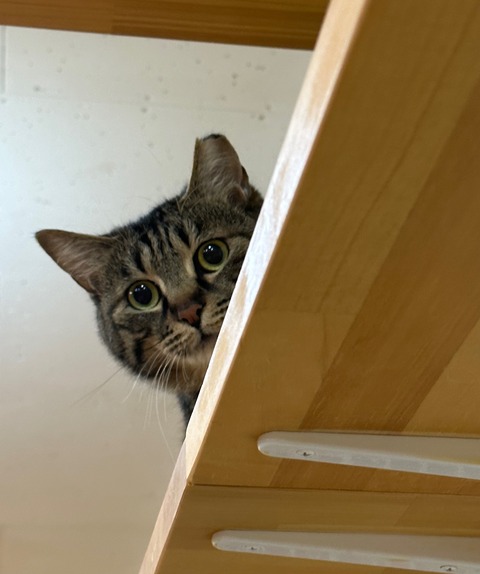 977F7928-C6D7-40D0-B22C-BB1C97DEBFD8