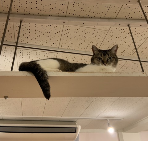 2DFE54D0-5124-4690-ACB9-D276534D6853