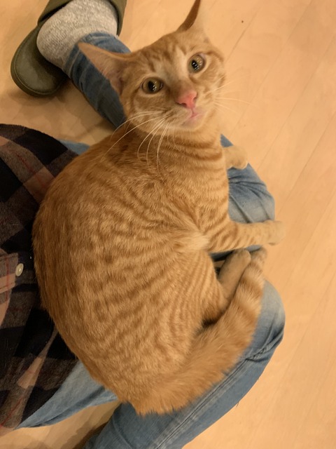 0964606F-97A7-4CA3-B701-3E8DE6D0EA21