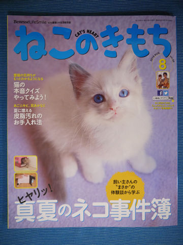 猫式ブログ~里親募集型猫カフェ
