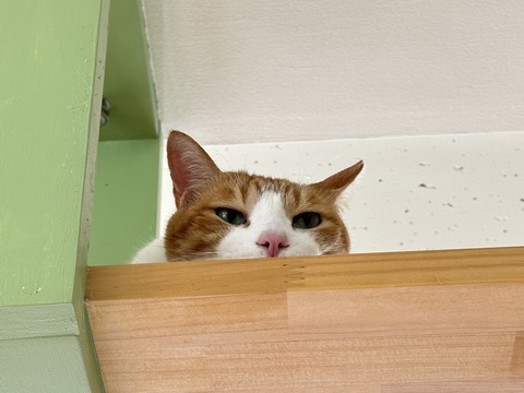 32EEDC7B-1FF1-4569-8AB0-3EBE21DE501D