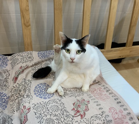 6B7EEA58-F8EE-4B2C-85FB-F6DC4297982F