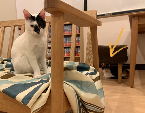 5CC1D8EA-1B92-4CA1-9CF7-93E0E2643C68