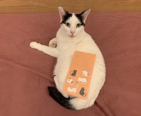 9908D8E9-FC0B-4EA4-B622-FA7631D6EB53