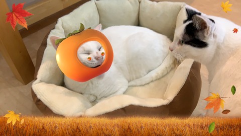 93C117A6-72C3-496A-A645-F9D99B76E12A