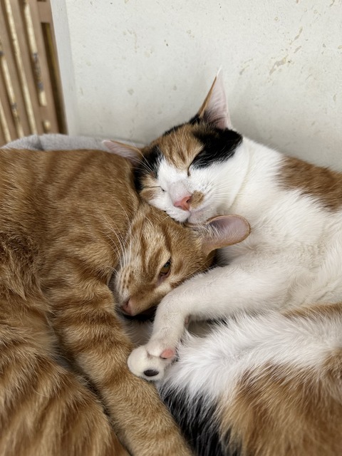 37A848BB-894F-4709-9005-5516836FA0E2