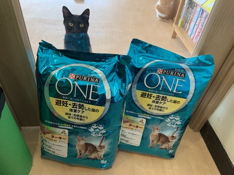 F1FD9952-5C31-49A0-B1AC-E2991A854FB4