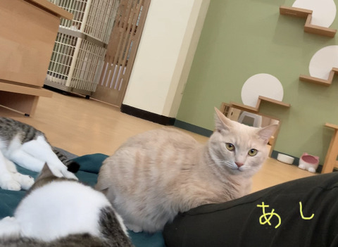 590131BA-22A5-4561-AC0E-C74653BFC44A