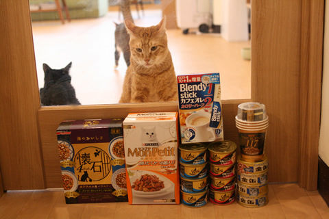 猫式ブログ~里親募集型猫カフェ