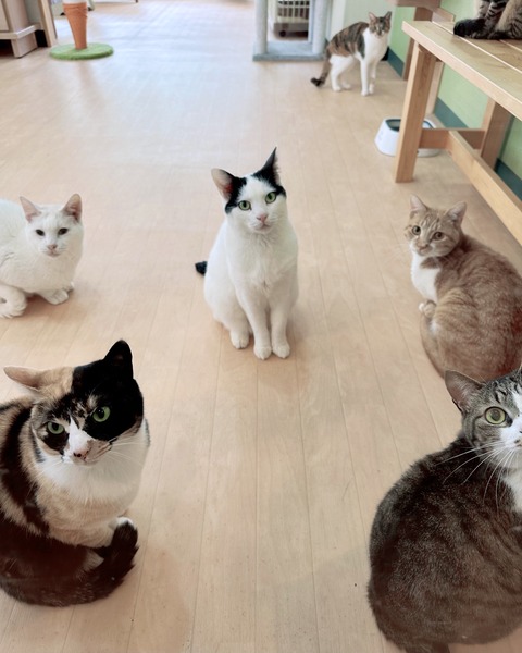 4D93A3D7-FEED-4DF7-8258-F95BD7FA7DB1