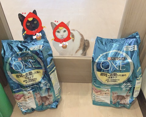 5416AFA6-F111-4D46-9AB4-D92396BBE2B7