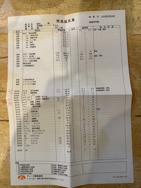 098FE5ED-6151-47EE-9B48-282C102D5894