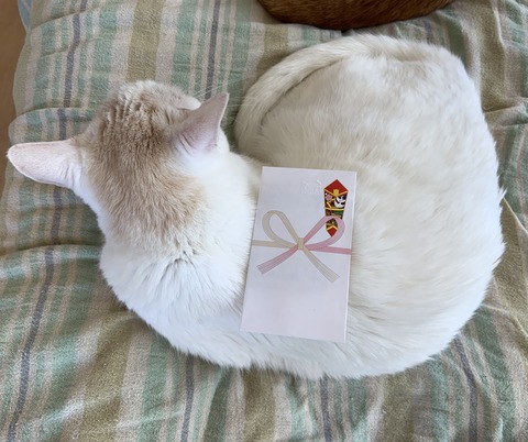 A677AE59-D9D6-44BA-8E6C-2F0EBE1EE31A