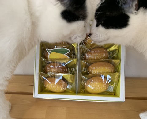 F11D5BD9-837E-43AA-8219-DC68F01A7C3F