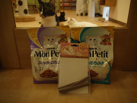 猫式ブログ～里親募集型猫カフェ