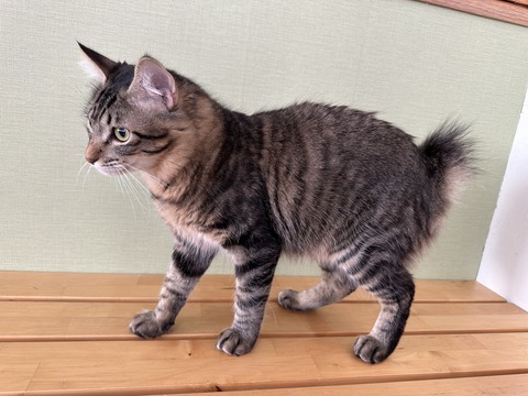 1E09AF76-57C9-4C93-99C0-102C1DF5F3EF