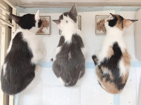 DF8FFA0F-2765-476F-9B31-D99F28846212