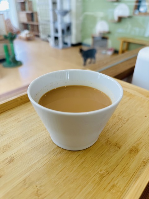 DB9B3C28-3F29-4699-A168-851573A4E27E