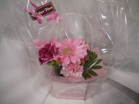 猫式ブログ~里親募集型猫カフェ