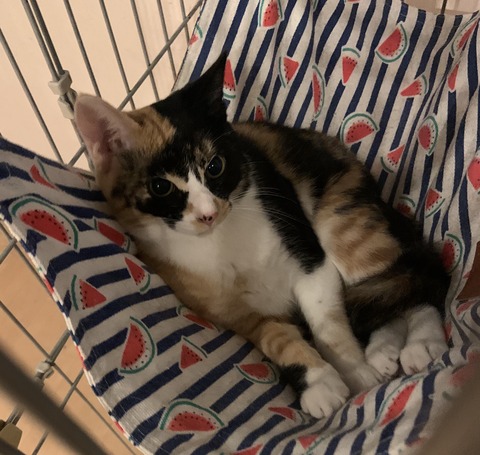 88FFB3F7-1F81-4435-B164-682E5D97FC92