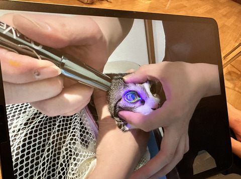 01112CC6-40FB-48E5-B152-C1D95A15B7F6