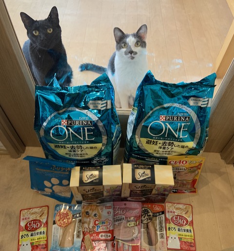 B5996D19-3810-4EC8-BAB3-0C119850B75C