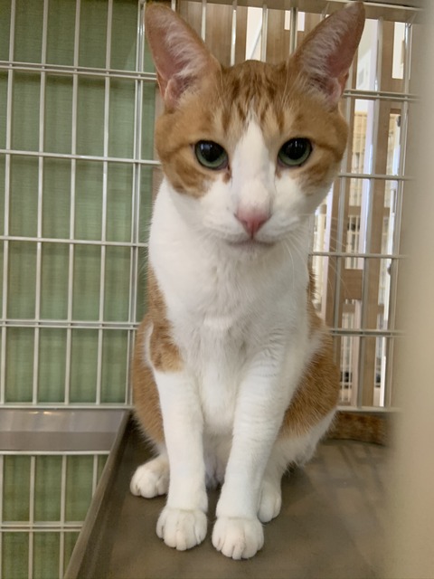 B272B2F1-E91E-49C6-9A5A-B5F3E0674F85