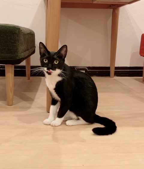 0F23F60A-6816-41A4-80FB-978E070291F5