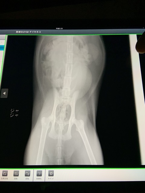 9F639234-4DFA-4A07-959E-523316E80632