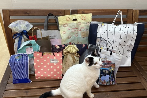 DBD3A2DE-C254-4693-B059-BA4F36F4A710