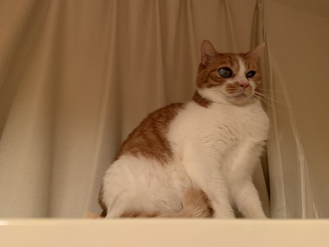 6F497F2E-468C-4906-915A-501449B08AE9